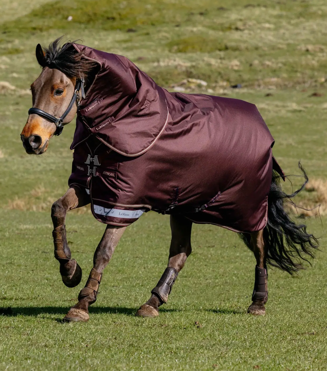 LeMieux - Arika Ripstop 100g Turnout Rug
