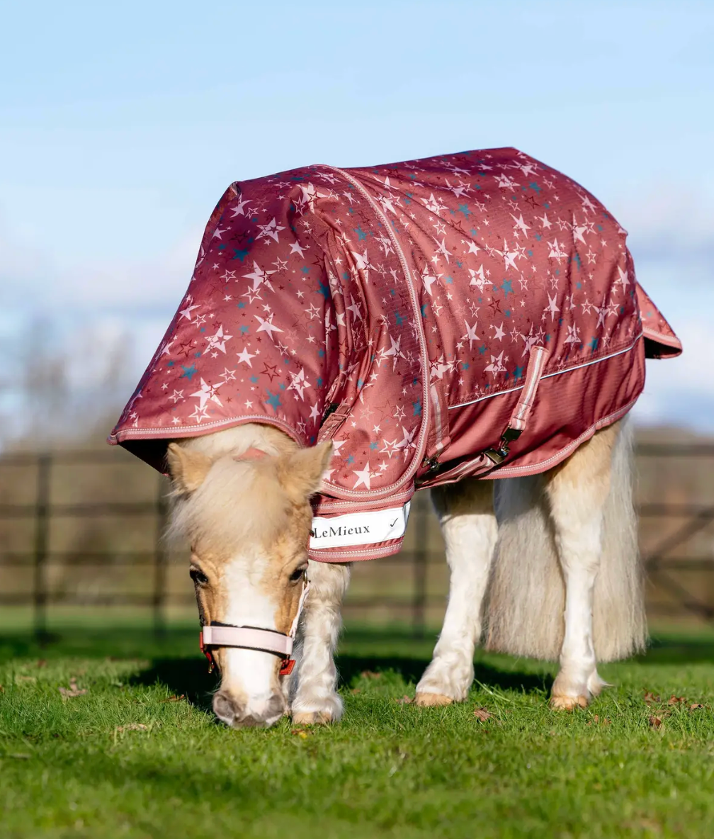 LeMieux - Arika Star 0g Turnout Rug