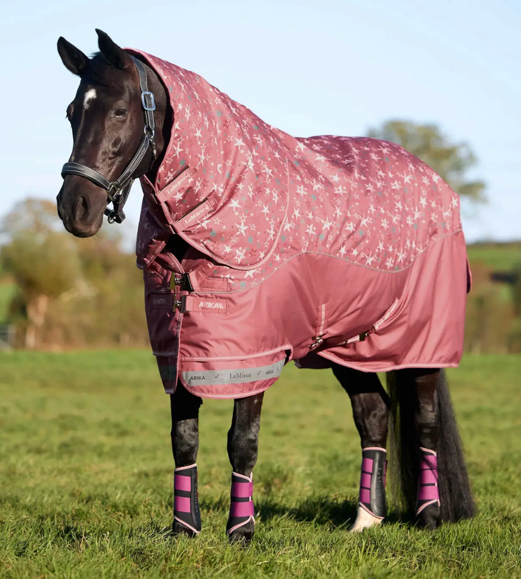 LeMieux - Arika Star 0g Turnout Rug