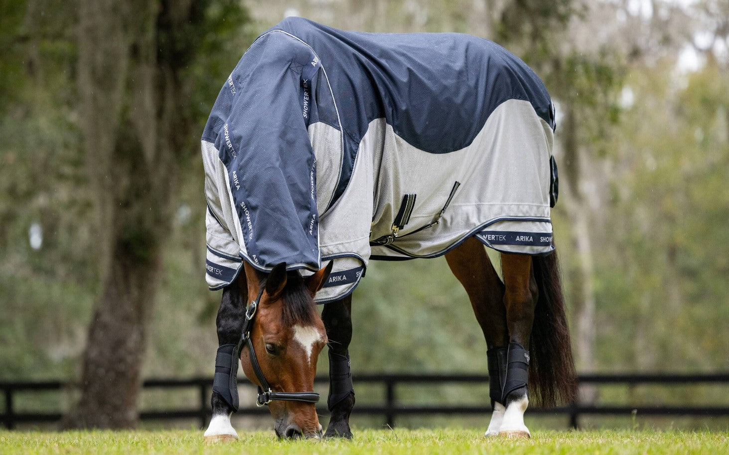 LeMieux Arika Shower-Tek Fly Rug