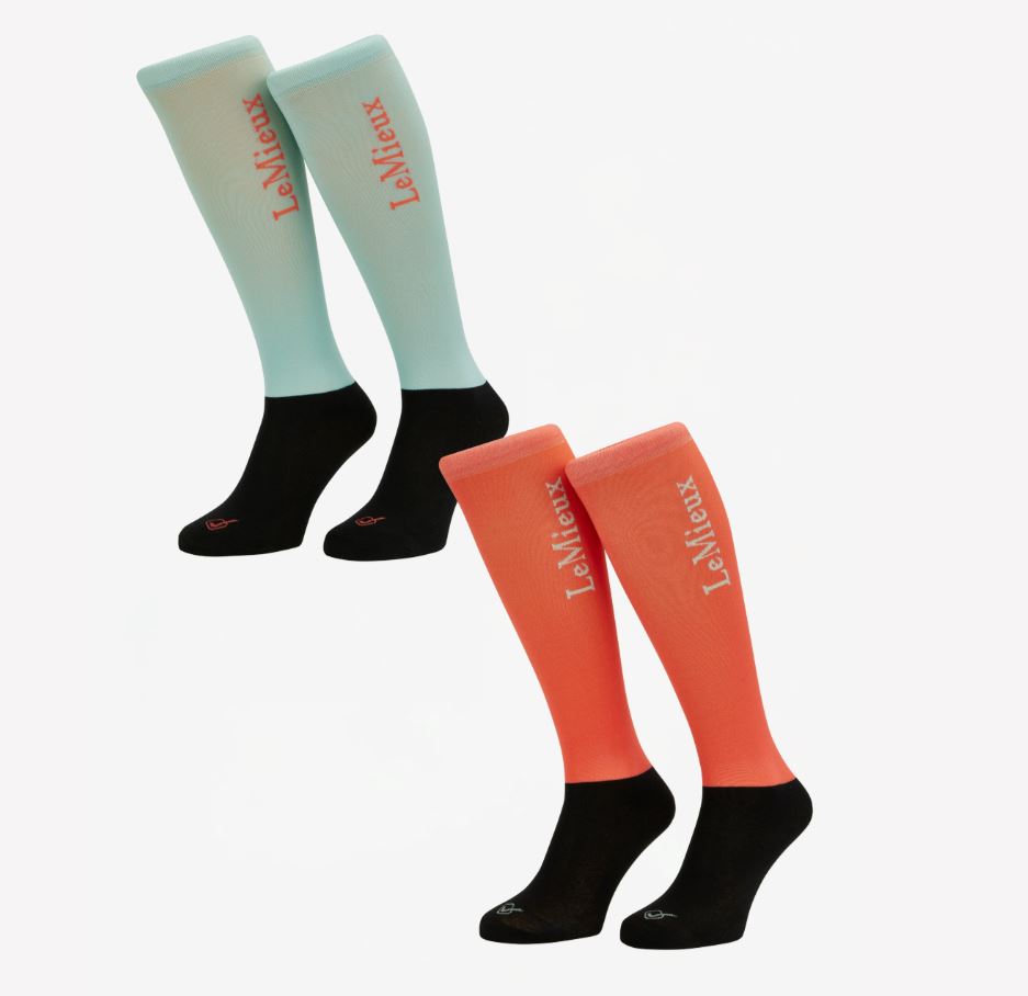 LeMieux Harlow Competition Socks