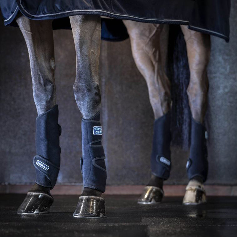 LeMieux Tendon Chill Boots