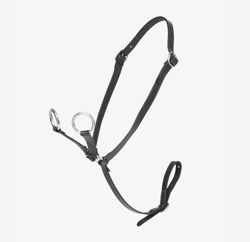 LeMieux Toy Pony Martingale