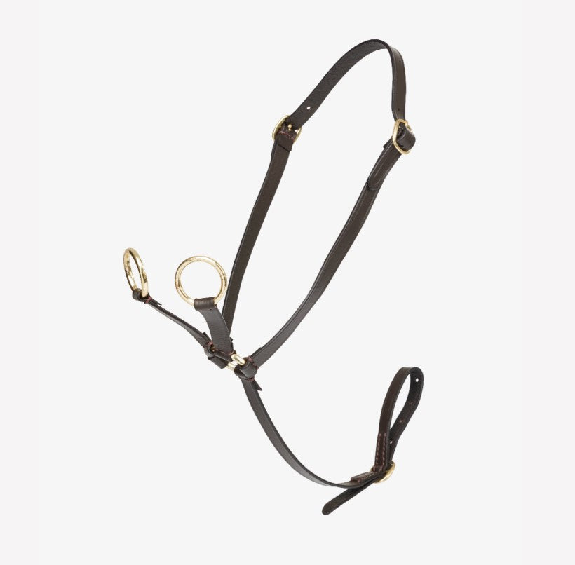 LeMieux Toy Pony Martingale