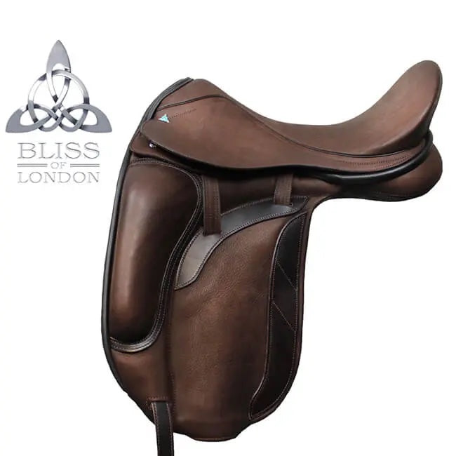 Bliss Of London Paramour Dressage